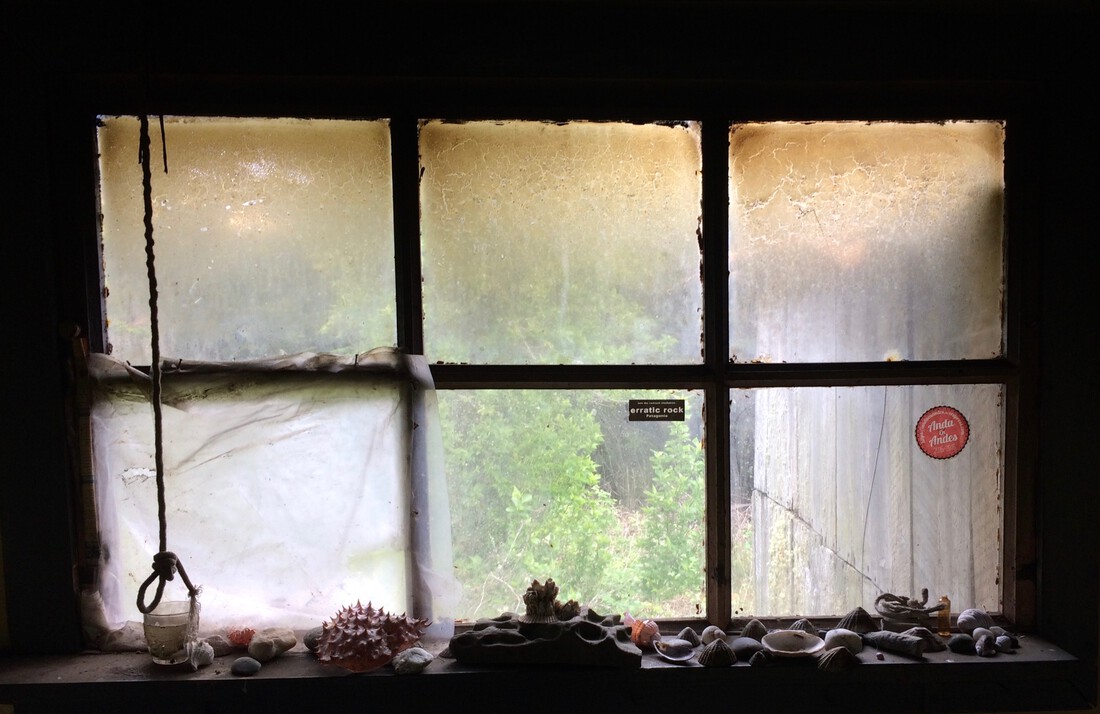 Photograph of shells on the sill of a window