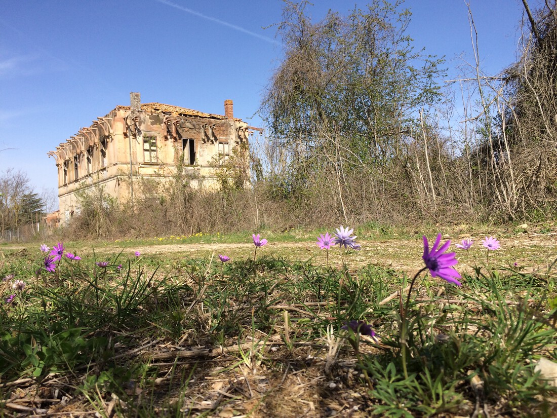 Station ruin with flowers in the foreground